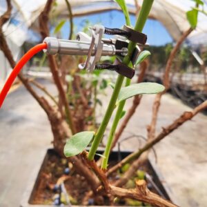 Instalación de sensores en una línea de riego
